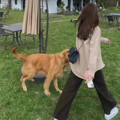 杀手·蝴蝶·梦